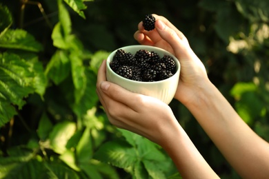 Photo of Woman picking blackberries in garden on sunny day, closeup