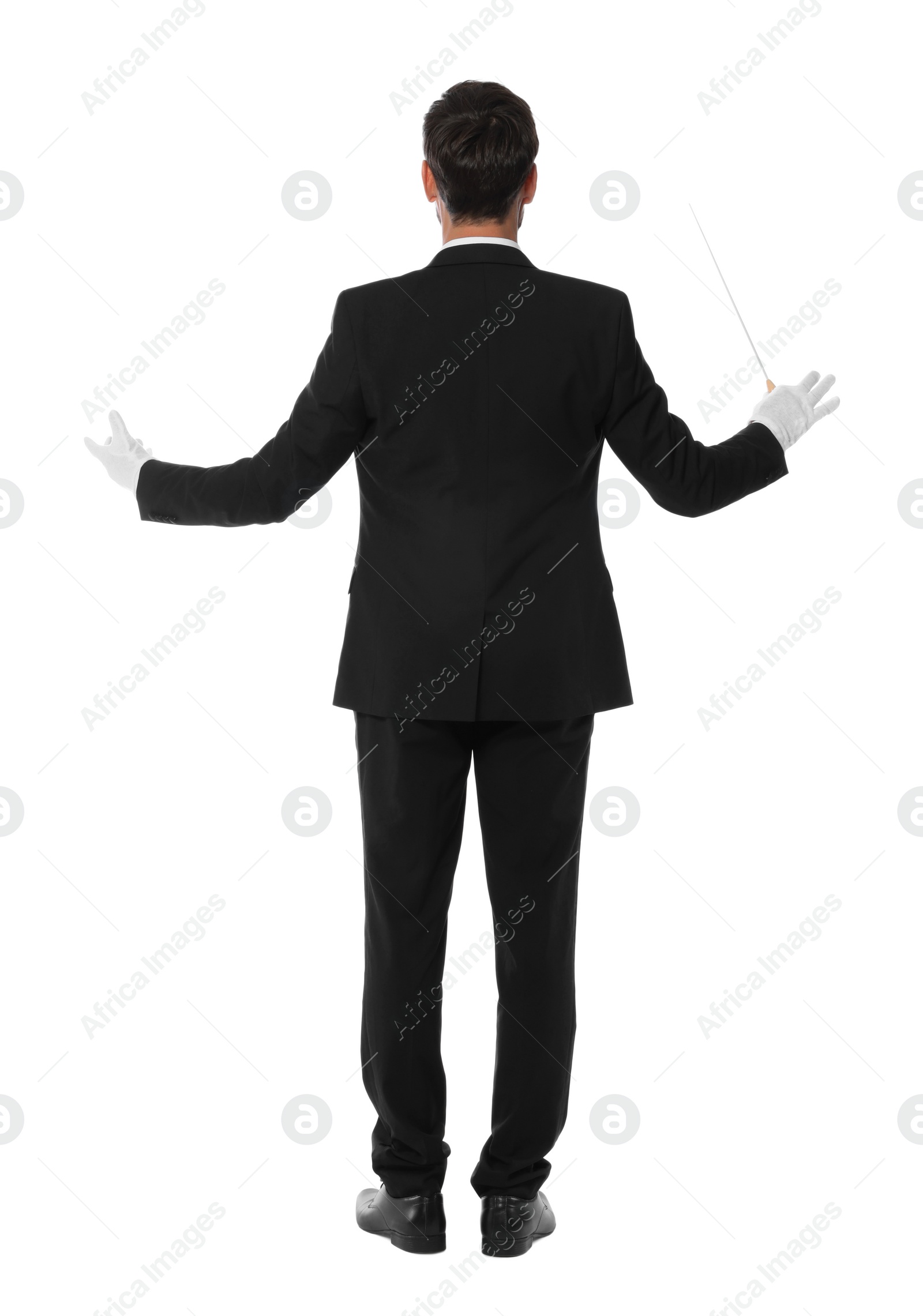 Photo of Professional conductor with baton on white background, back view