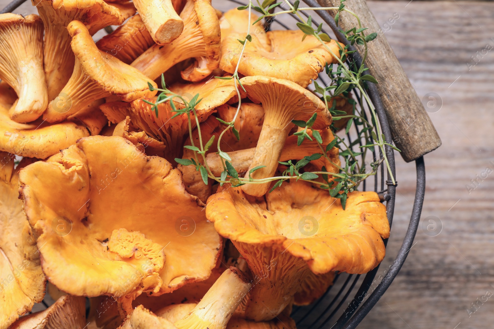 Photo of Fresh wild chanterelle mushrooms in metal basket on wooden table, closeup