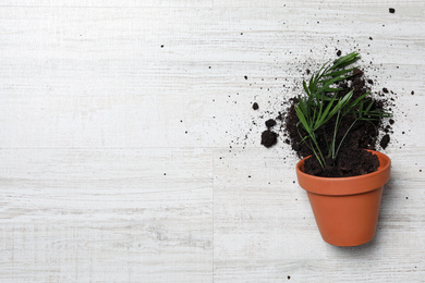 Photo of Overturned terracotta flower pot with soil and plant on white wooden background, flat lay. Space for text