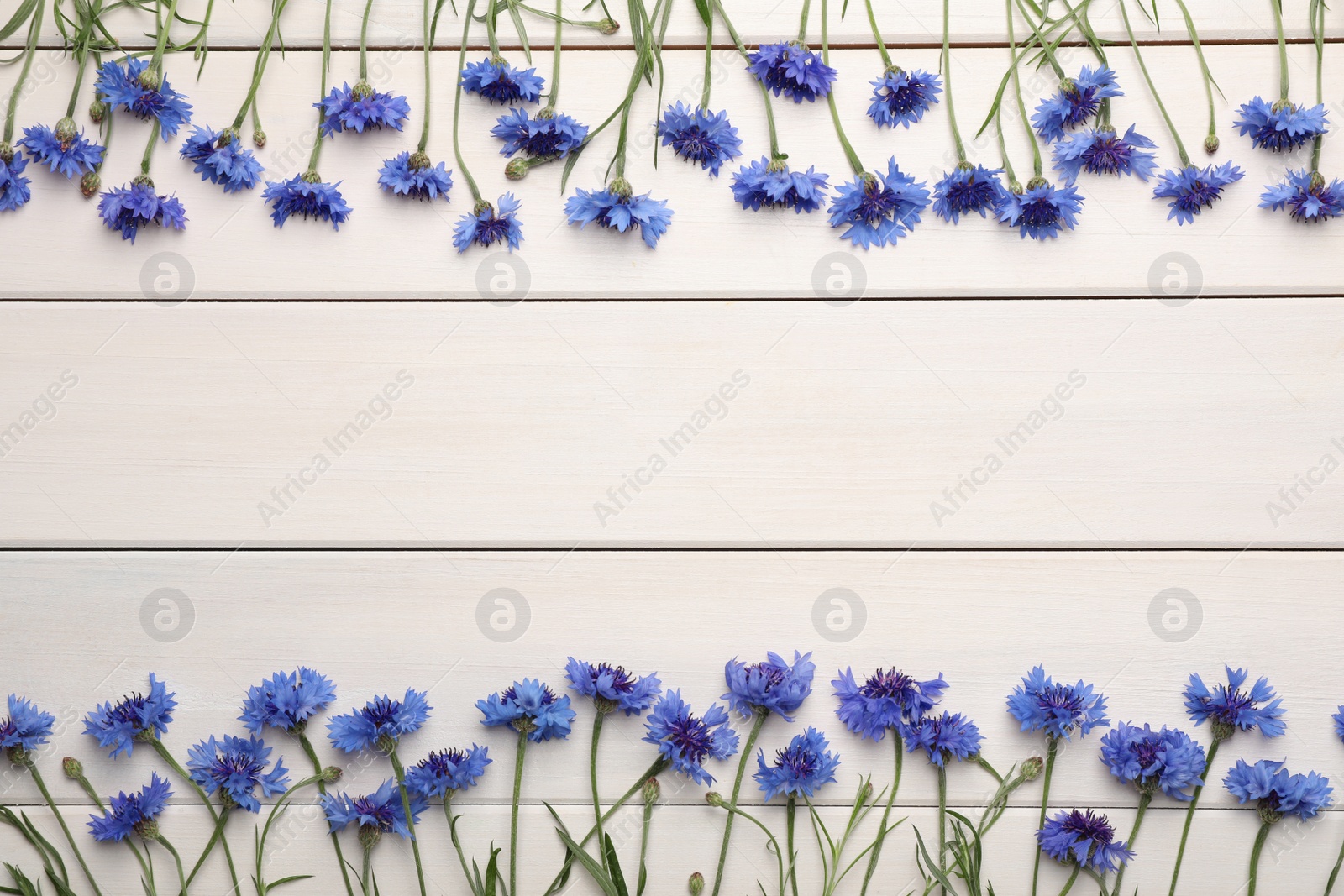 Photo of Frame of beautiful blue cornflowers on white wooden background, flat lay. Space for text