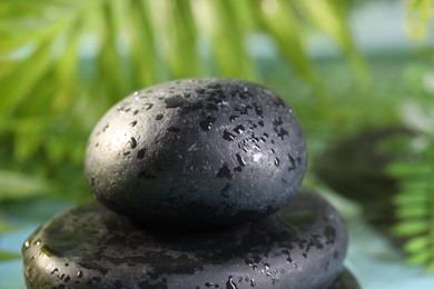 Photo of Wet spa stones on blurred background, closeup