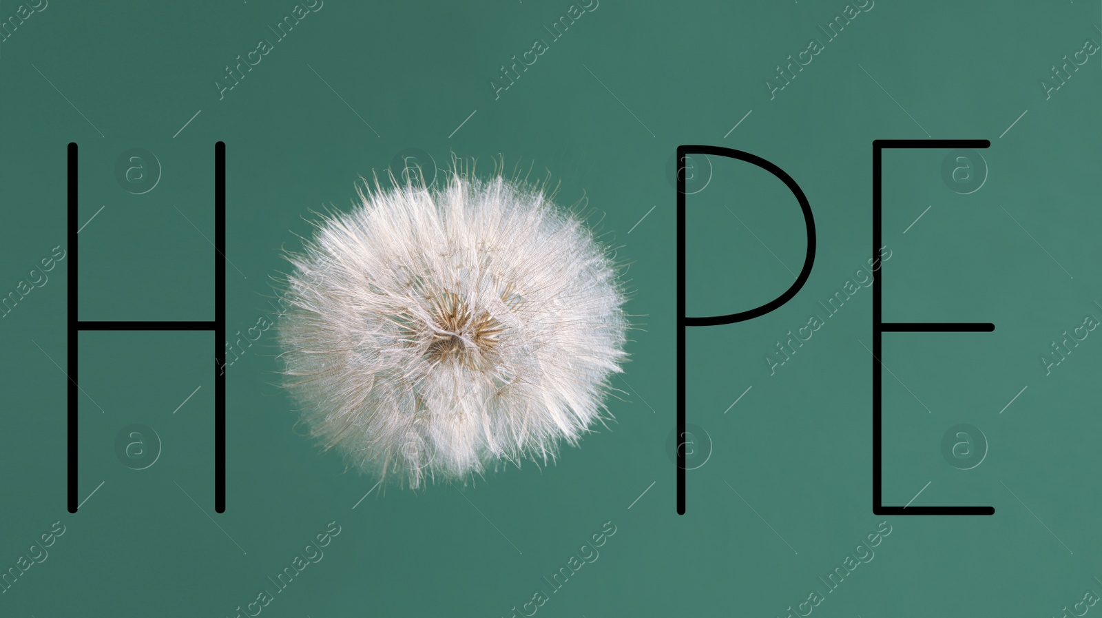 Image of Word HOPE made with letters and dandelion flower on green background