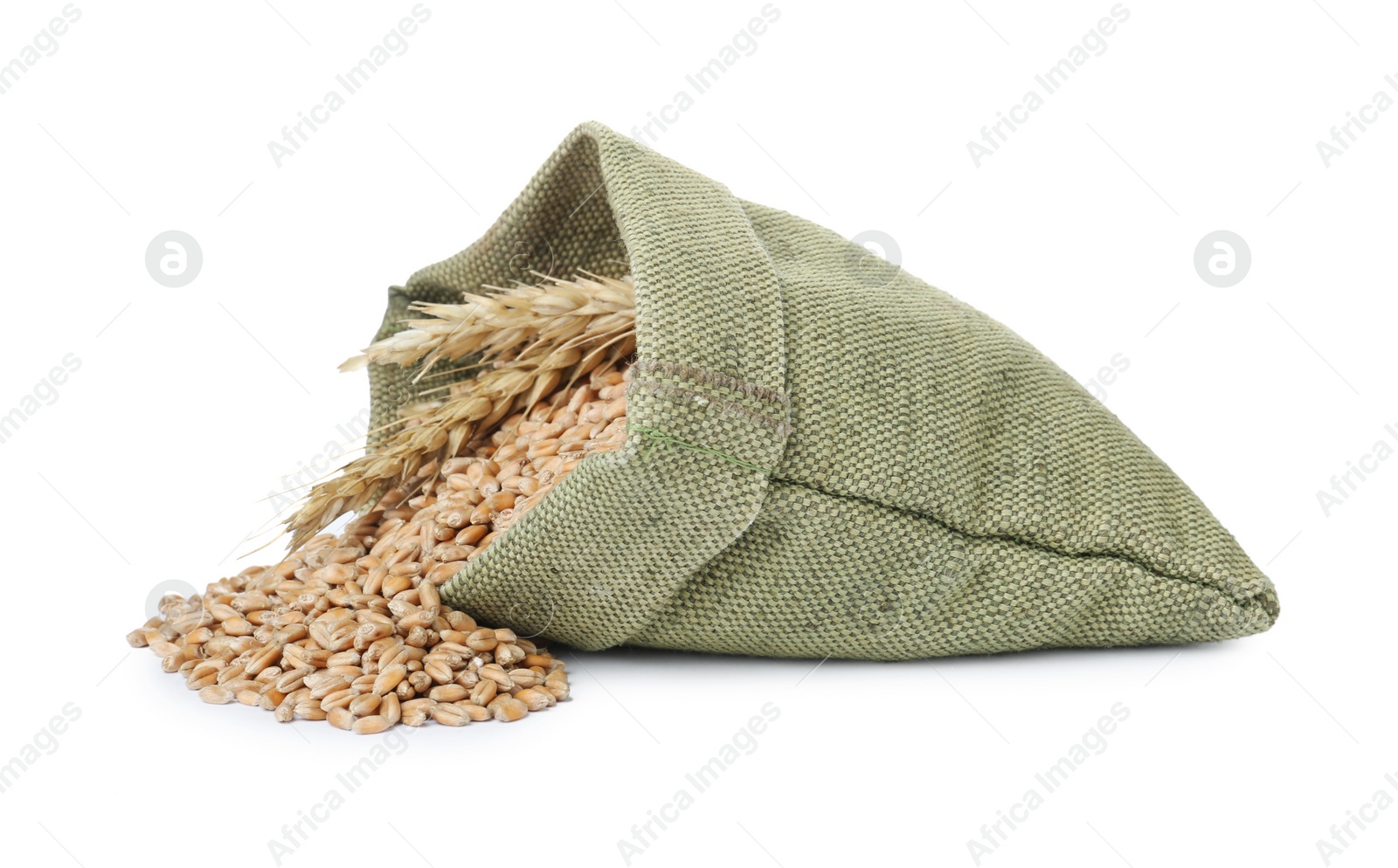 Photo of Sack with wheat grains and spikes on white background