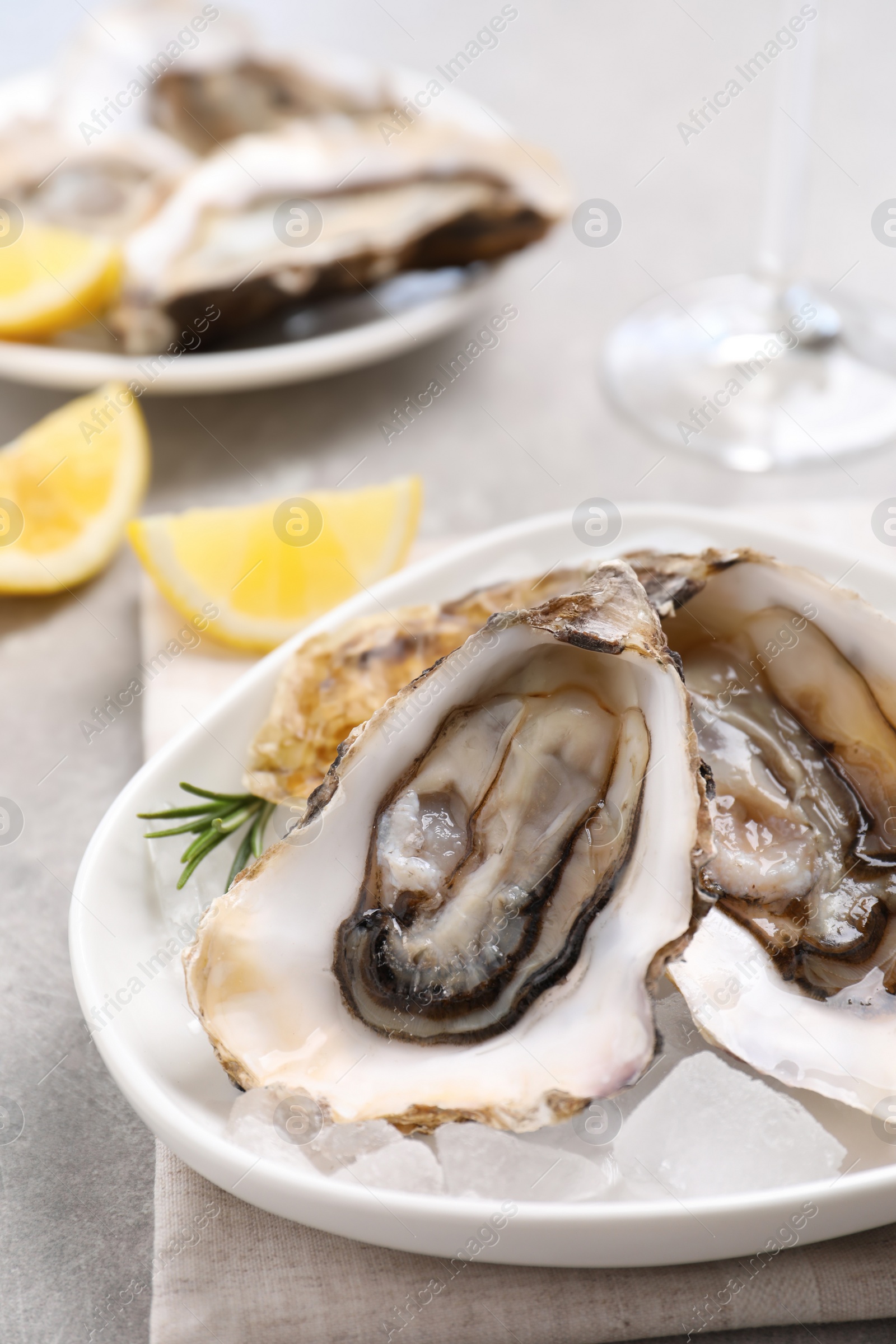 Photo of Fresh oysters with rosemary and ice on grey table, closeup