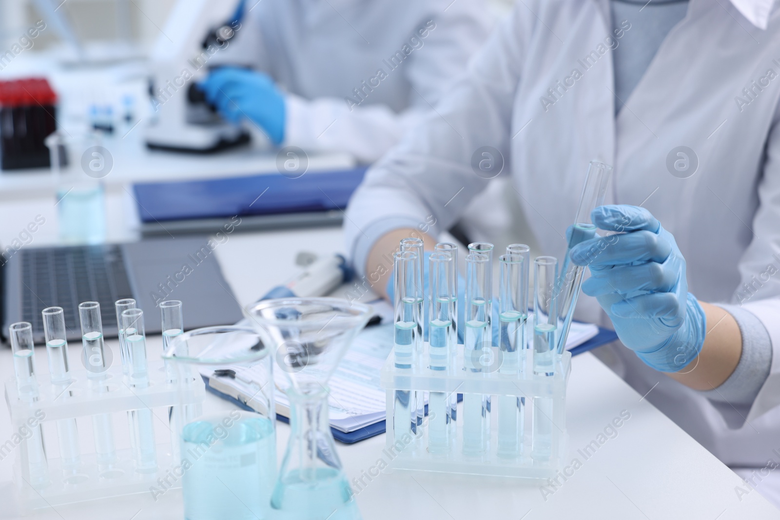 Photo of Scientists working with samples in laboratory. Medical research