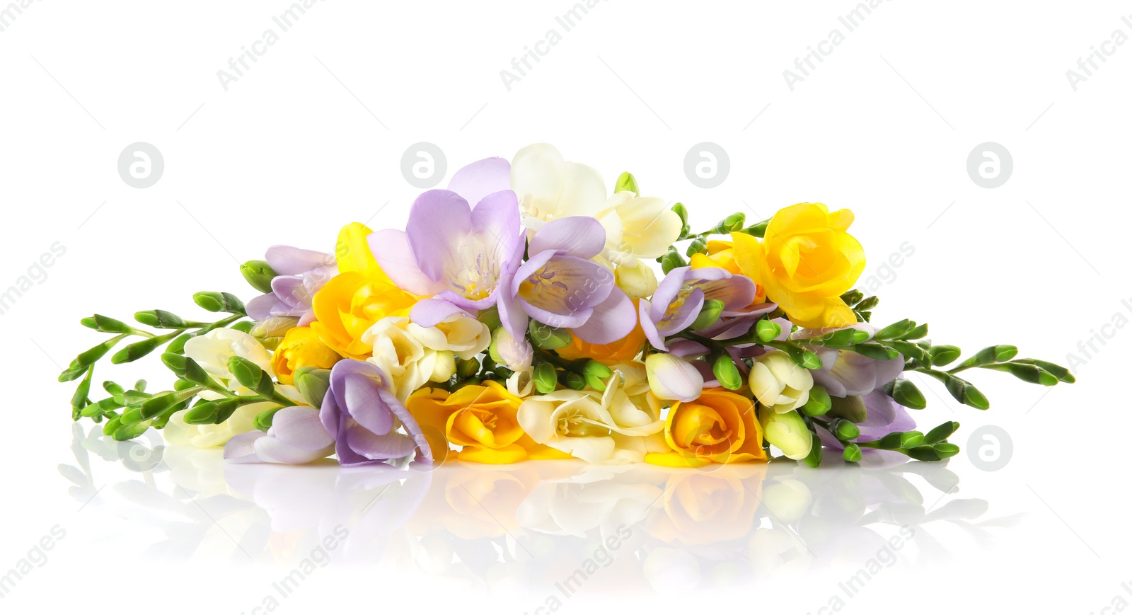 Photo of Bouquet of fresh freesia flowers isolated on white