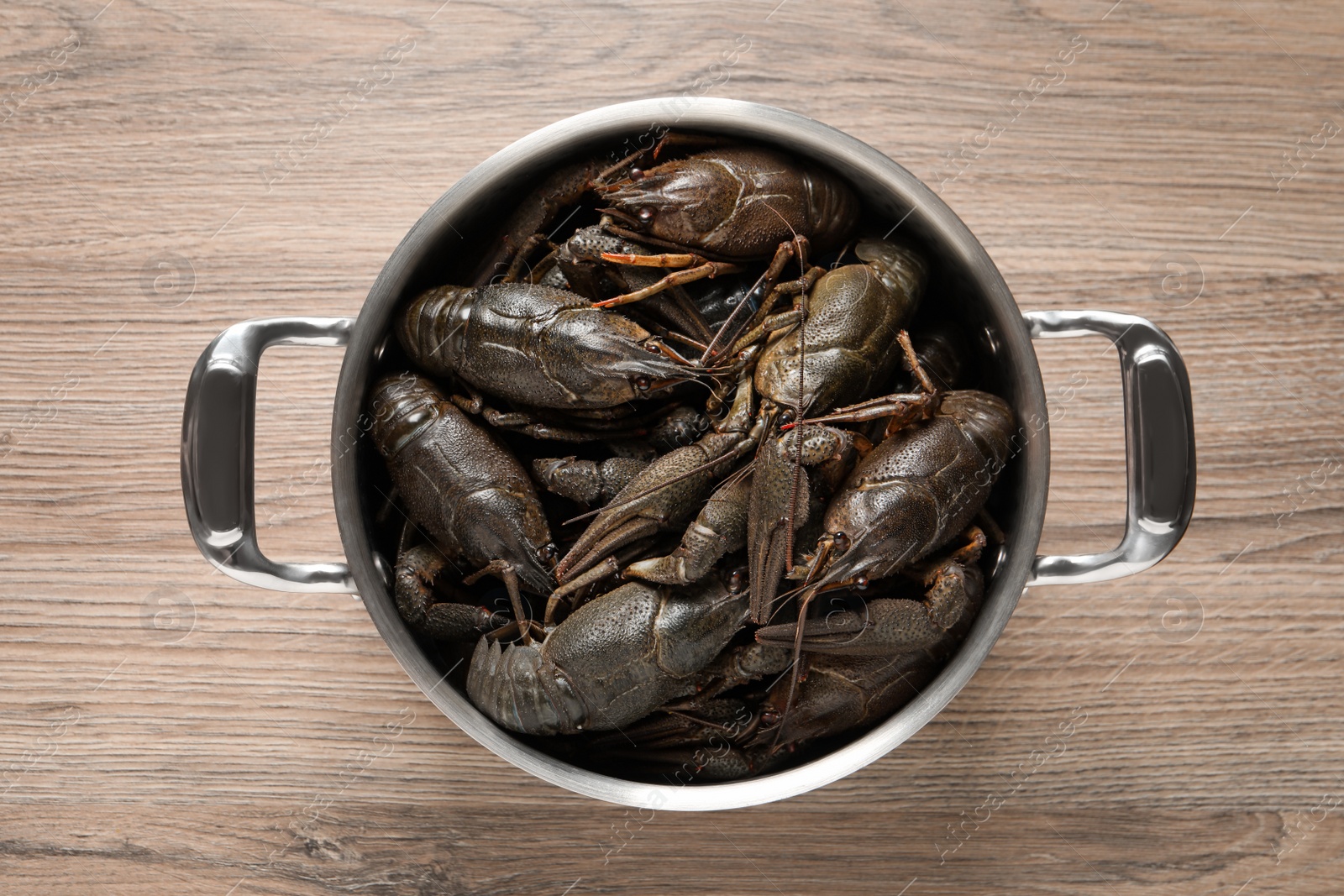 Photo of Fresh raw crayfishes in pot on wooden table, top view