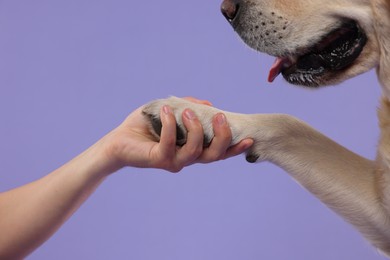 Photo of Dog giving paw to man on purple background, closeup