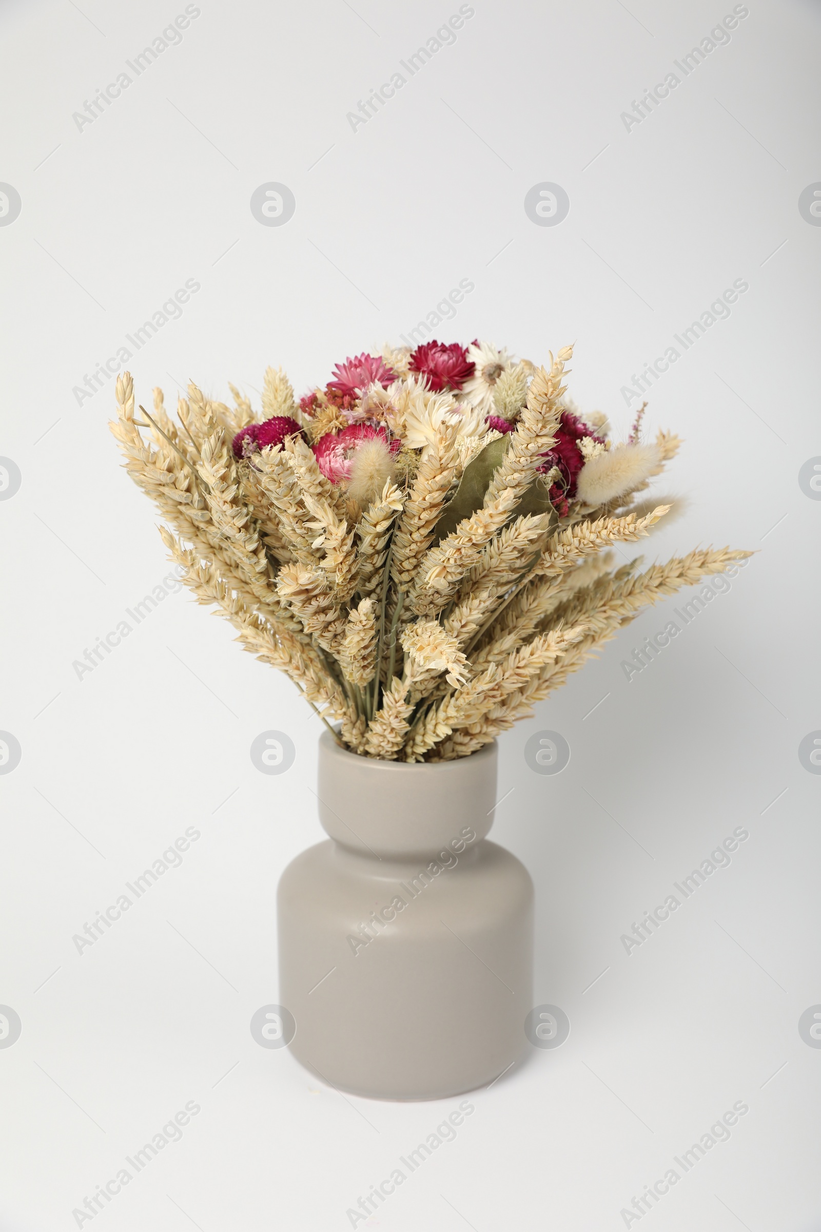 Photo of Beautiful bouquet of dry flowers in ceramic vase on white background