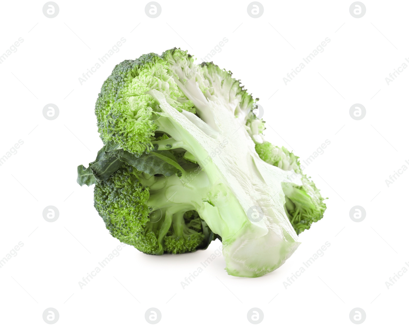 Photo of Fresh green broccoli isolated on white. Organic food