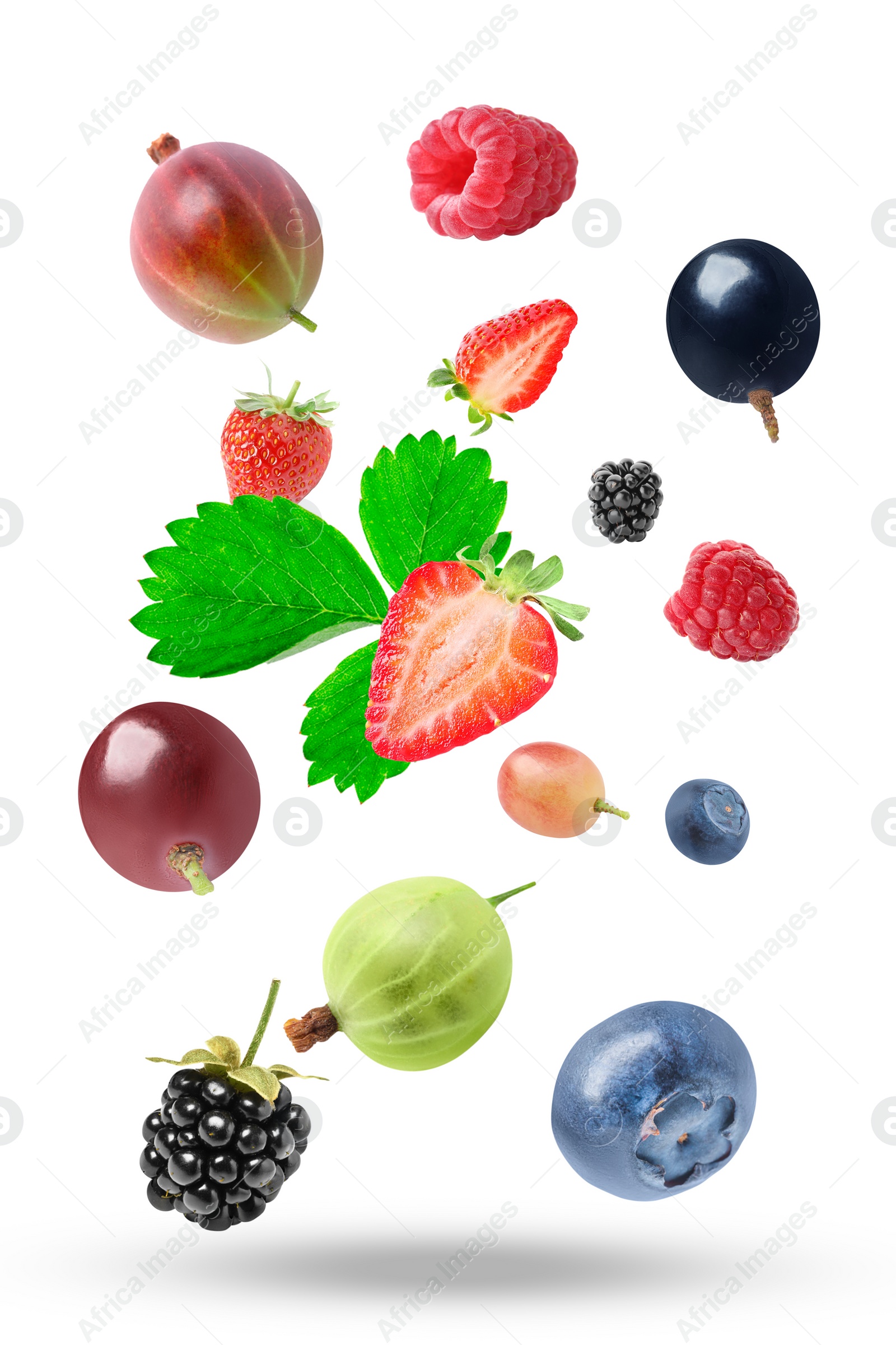 Image of Many different fresh berries falling on white background