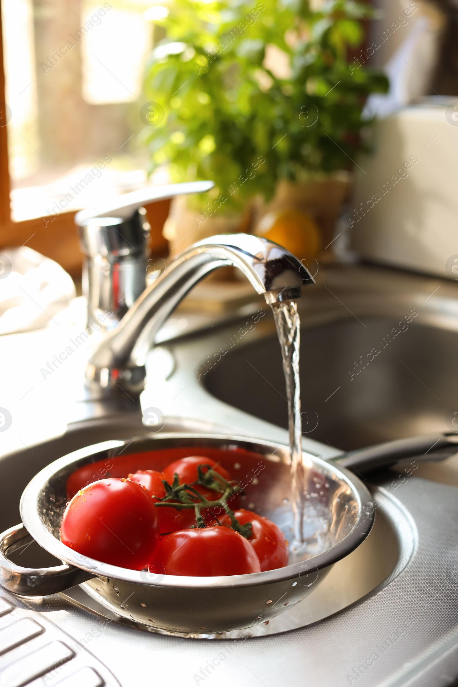 Photo of Fresh ripe tomatoes under tap water in kitchen sink