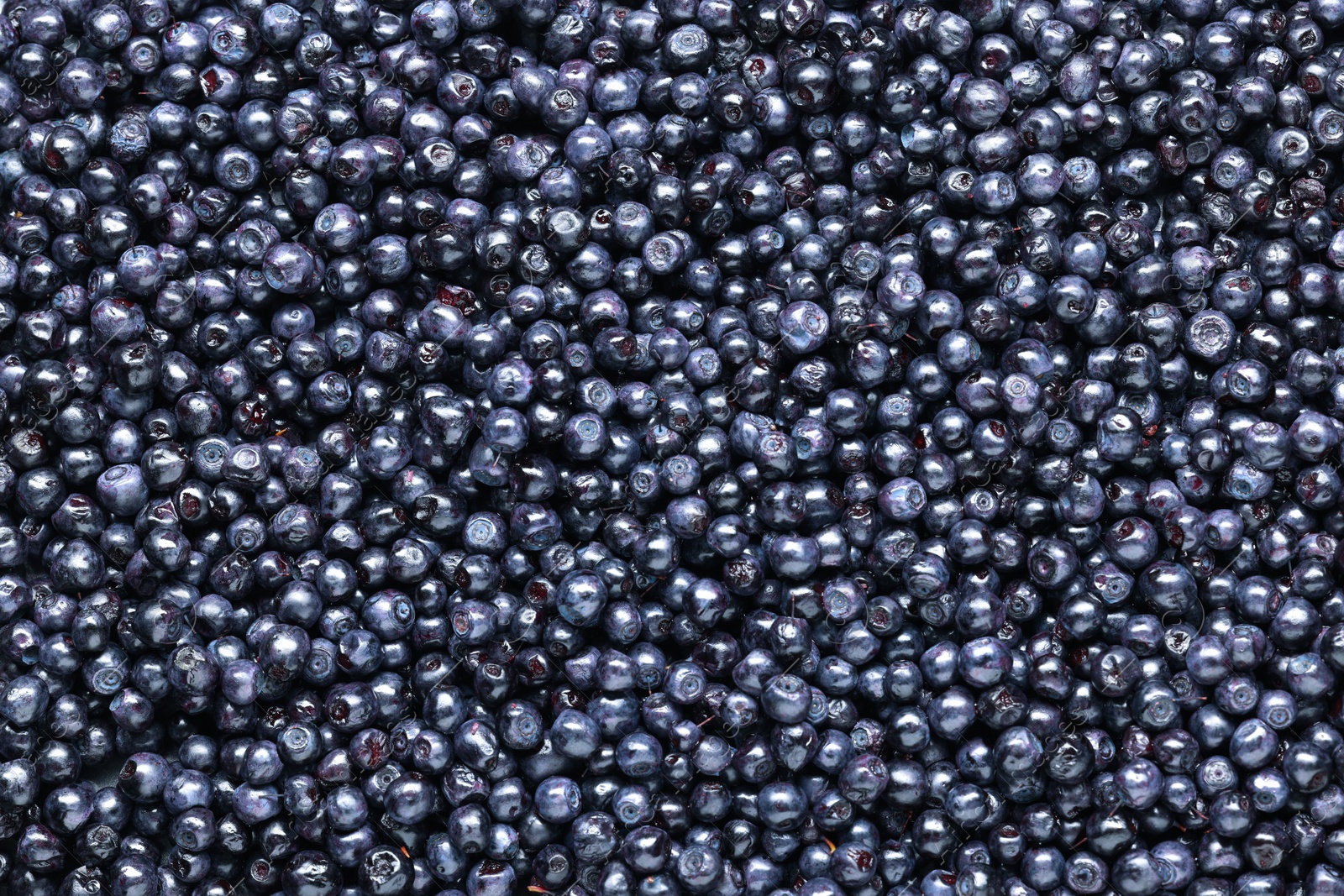 Photo of Many tasty fresh bilberries as background, top view