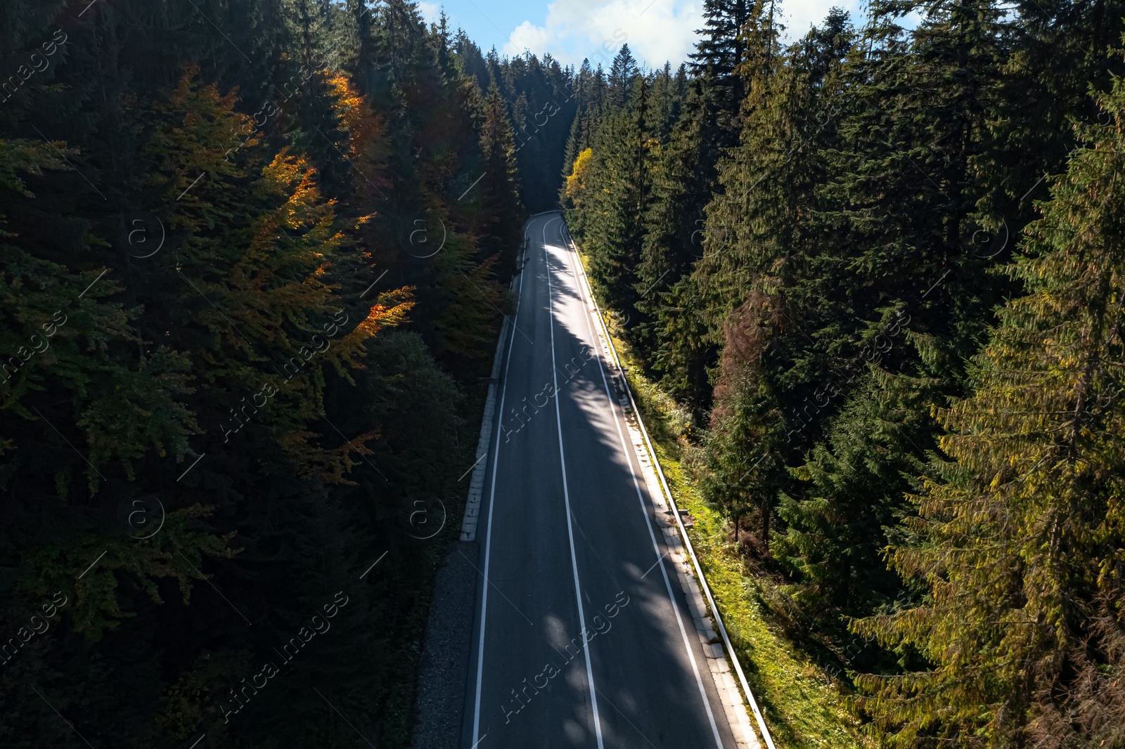 Image of Asphalt road surrounded by coniferous forest on sunny day. Drone photography