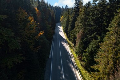 Image of Asphalt road surrounded by coniferous forest on sunny day. Drone photography