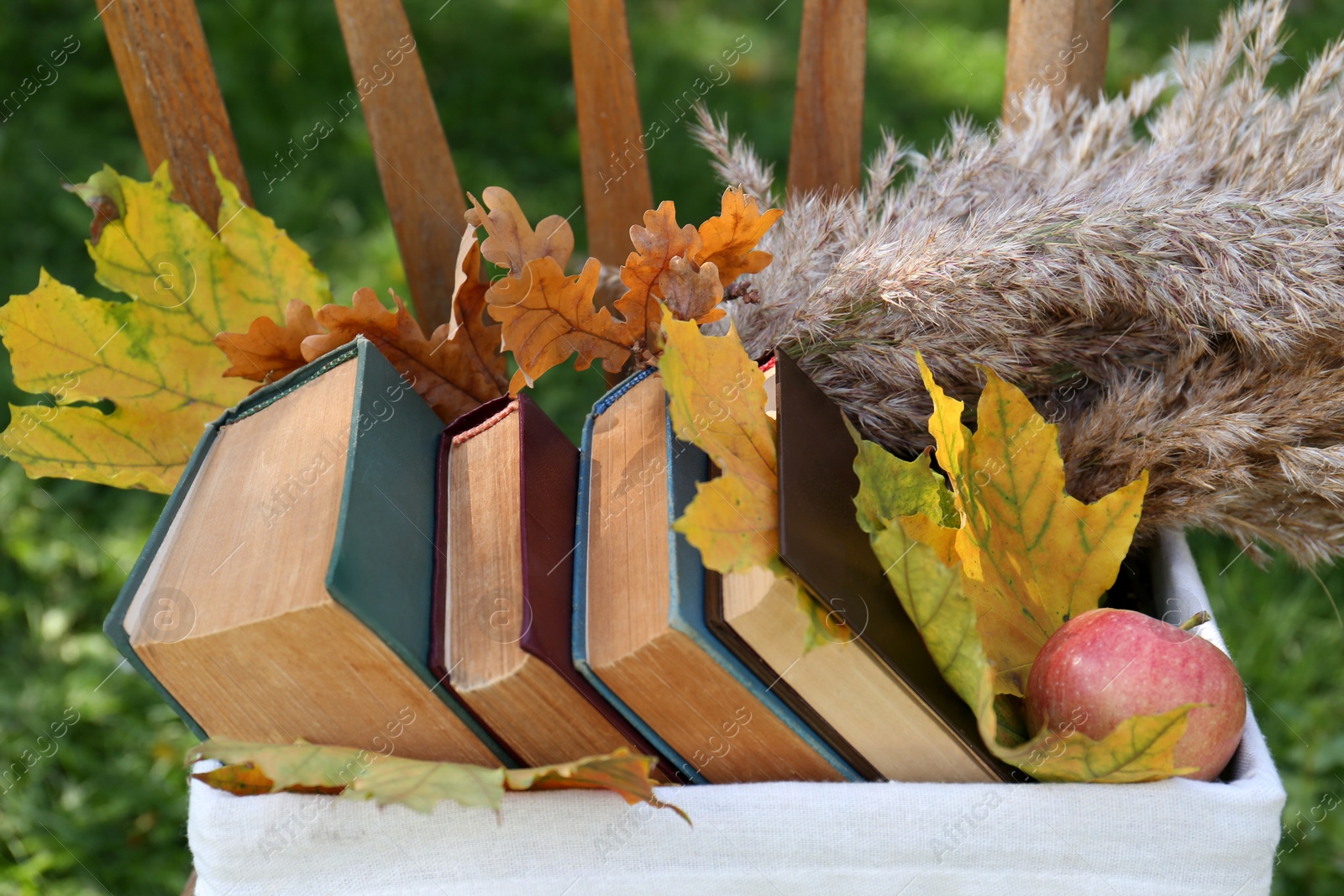 Photo of Different books, apple and maple leaves in wicker basket outdoors. Autumn atmosphere