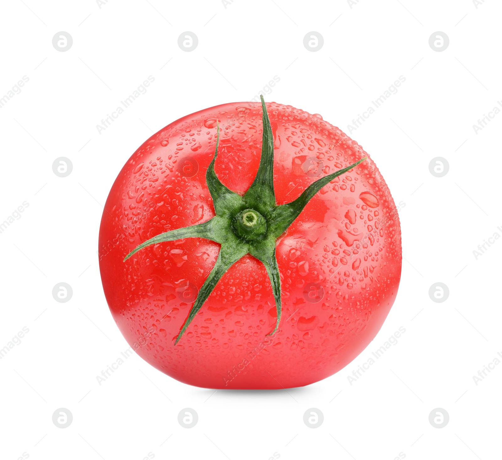 Photo of One red ripe tomato with water drops isolated on white