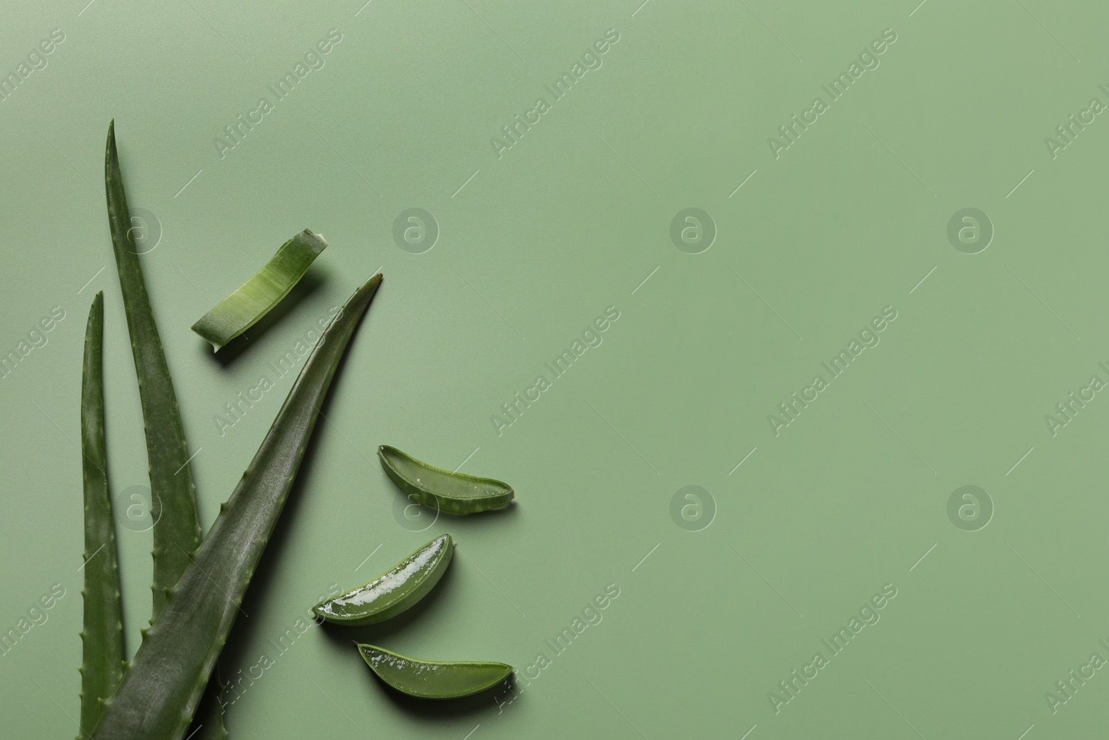 Photo of Cut aloe vera leaves on light green background, flat lay. Space for text