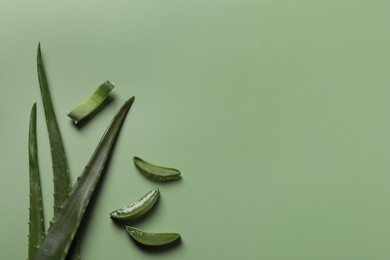 Cut aloe vera leaves on light green background, flat lay. Space for text