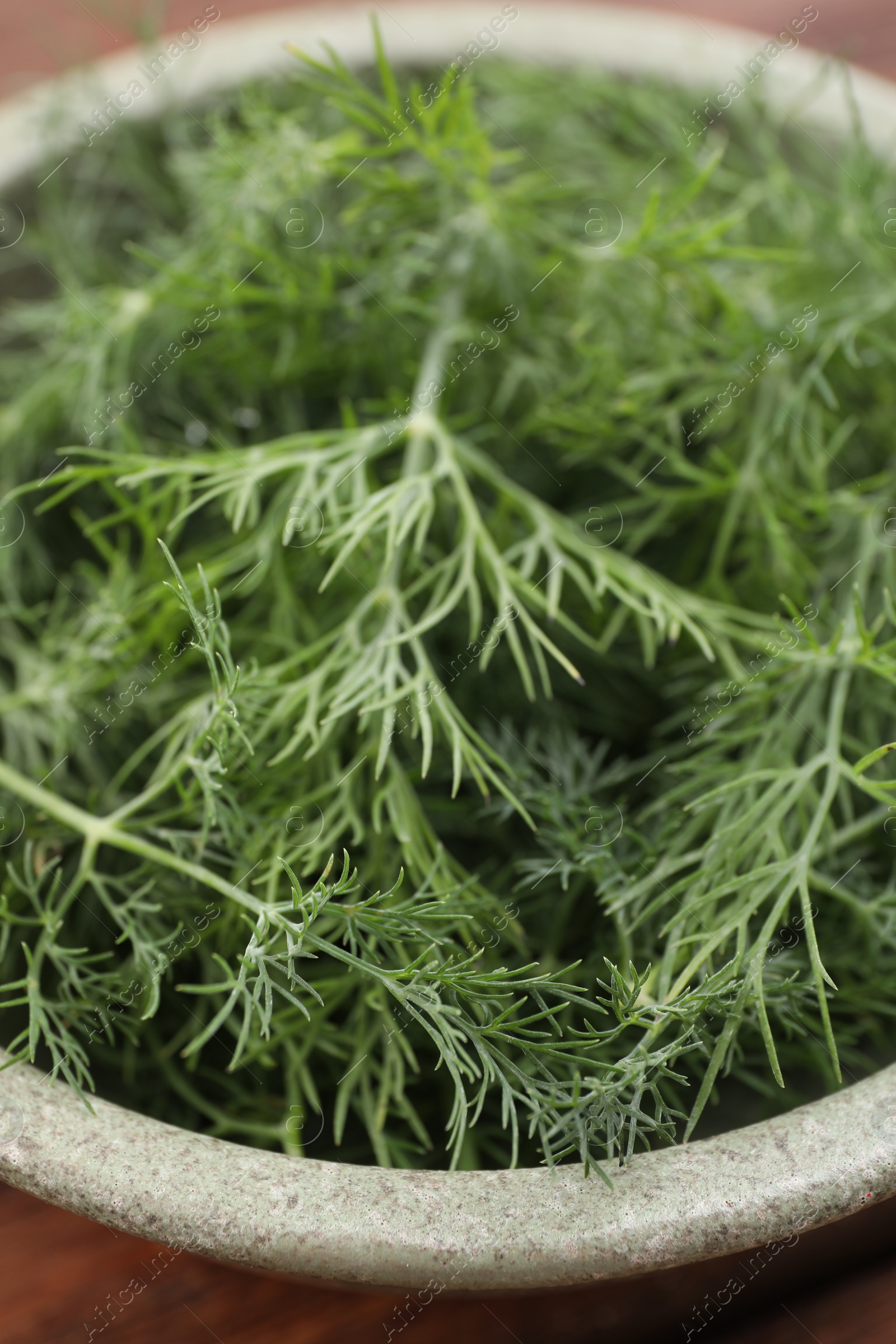 Photo of Bowl of fresh dill on table, closeup view