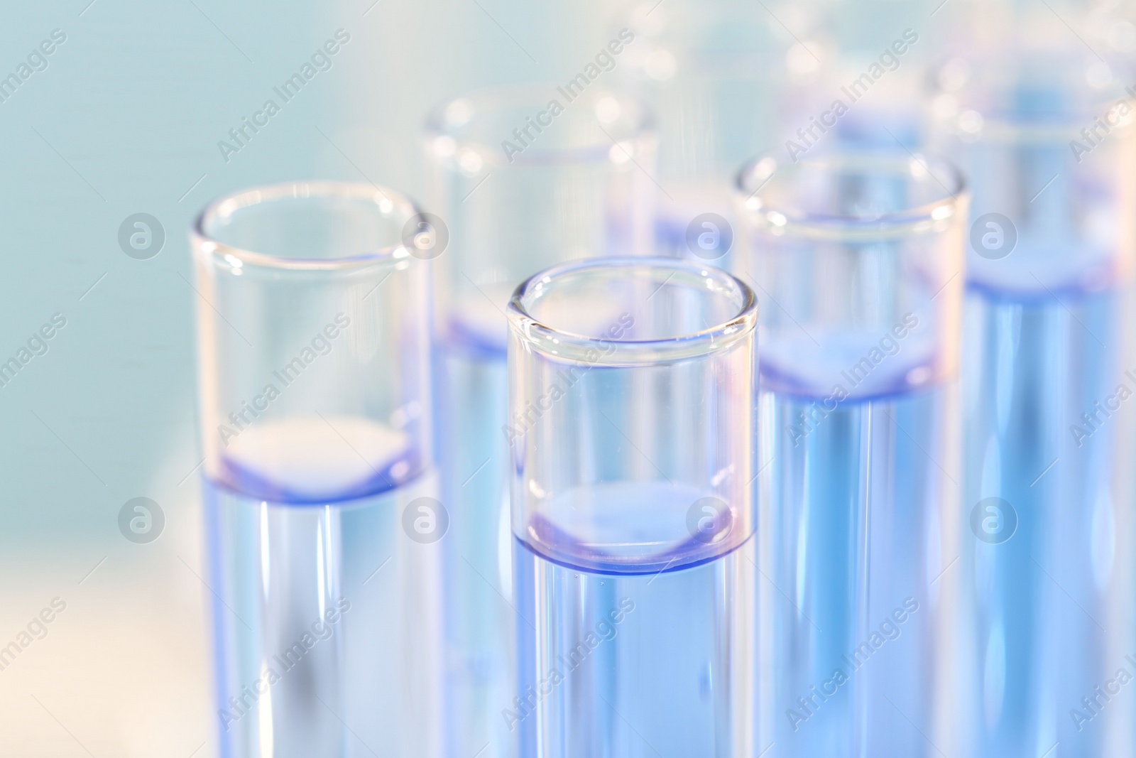 Photo of Laboratory analysis. Many glass test tubes with light blue liquid on blurred background, closeup