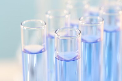 Laboratory analysis. Many glass test tubes with light blue liquid on blurred background, closeup