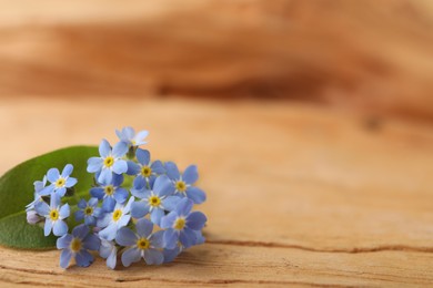 Photo of Beautiful blue forget-me-not flowers on wooden table, closeup. Space for text