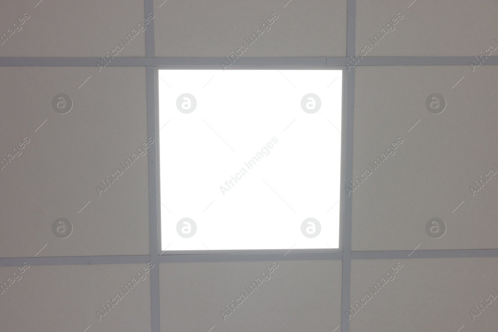 Photo of White ceiling with PVC tiles and lighting, bottom view