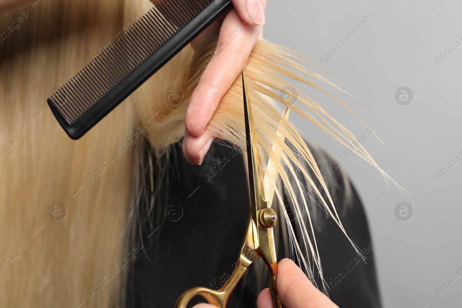 Photo of Hairdresser cutting client's hair with scissors on light grey background, closeup