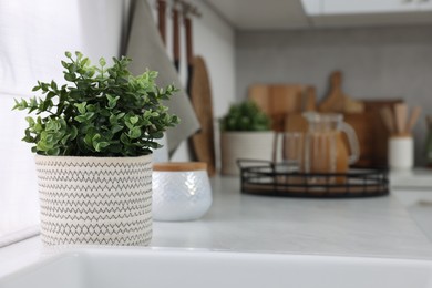 Beautiful potted artificial plant on countertop in kitchen, space for text. Home decor
