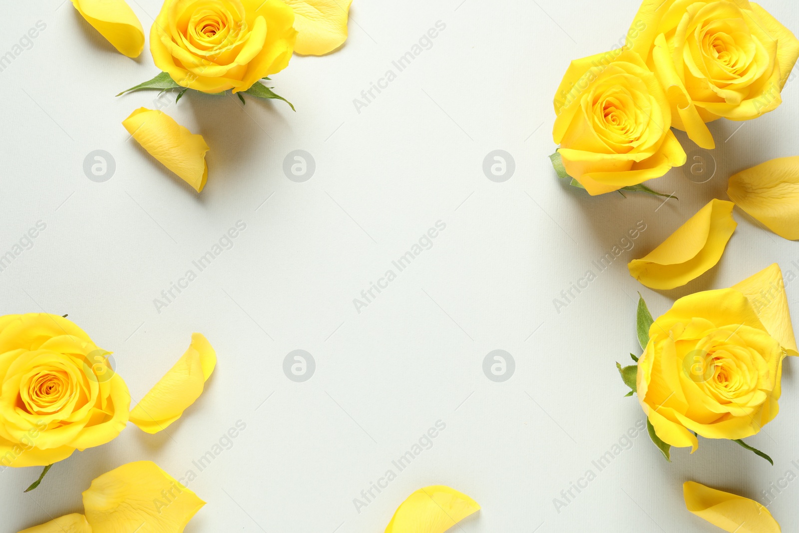 Photo of Frame made of beautiful yellow roses on light grey background, flat lay. Space for text