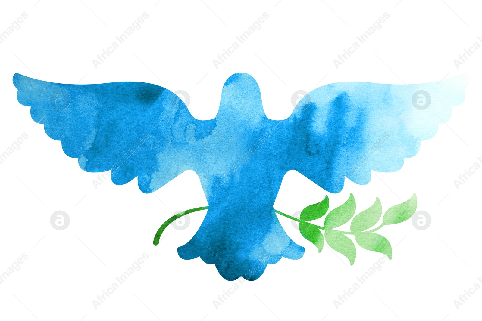 Illustration of Silhouette of dove holding tree branch drawn with watercolor paint on white background