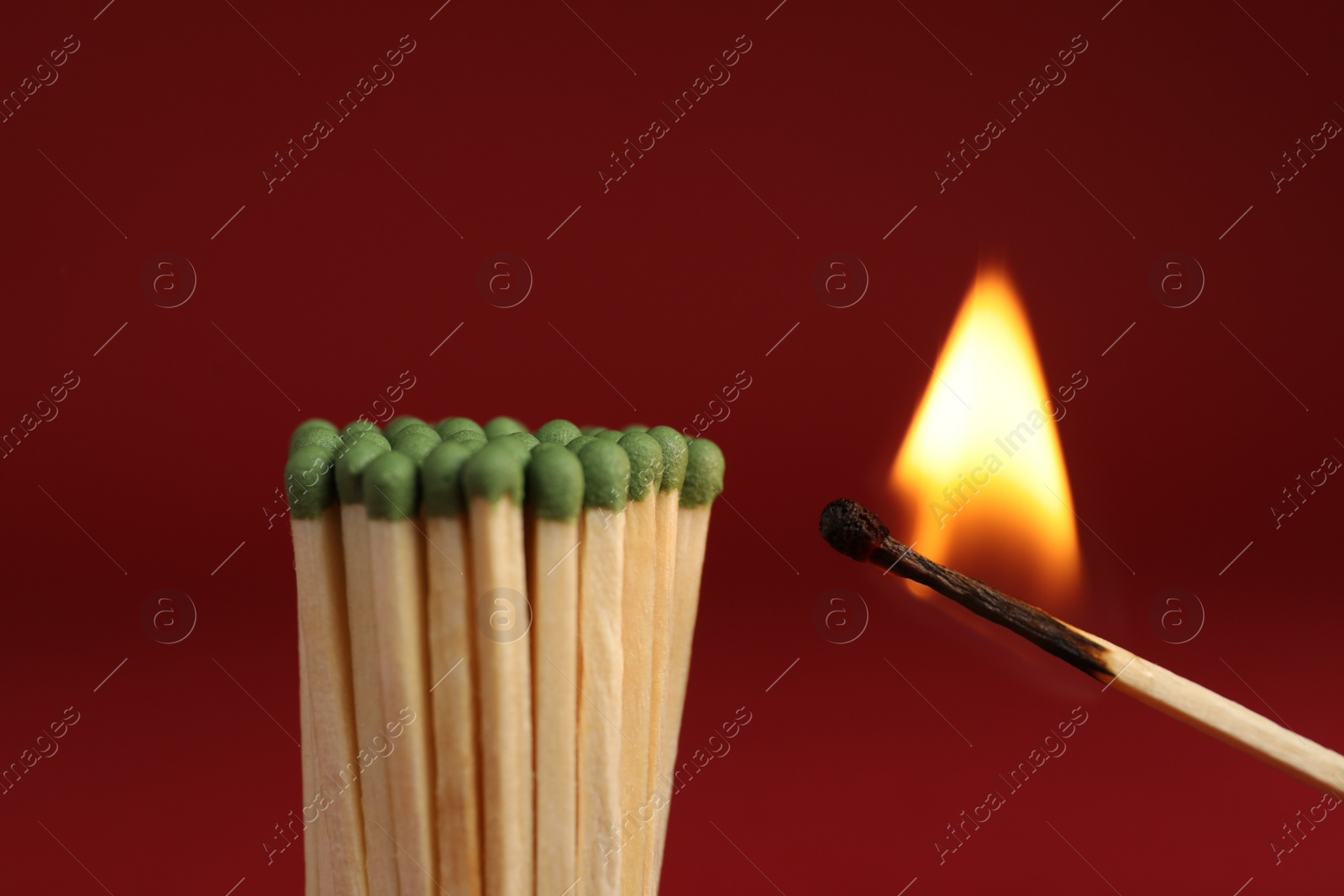 Photo of Burning match near unlit ones on red background