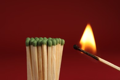 Photo of Burning match near unlit ones on red background