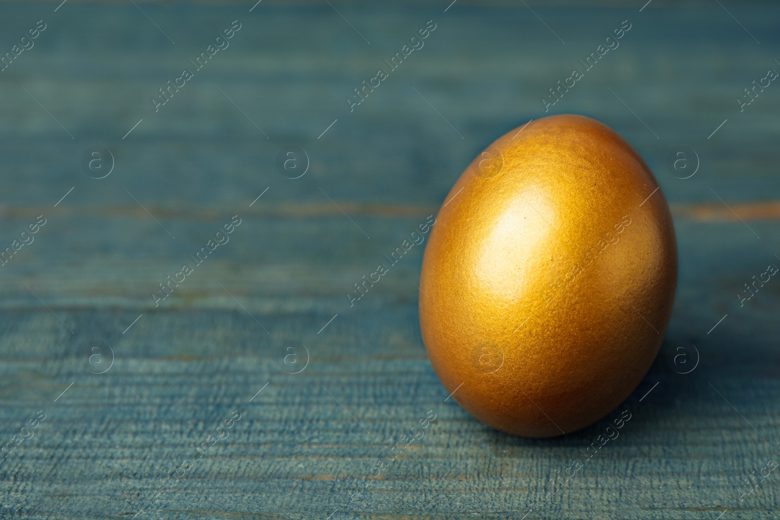 Photo of Golden egg on light blue wooden table, closeup. Space for text