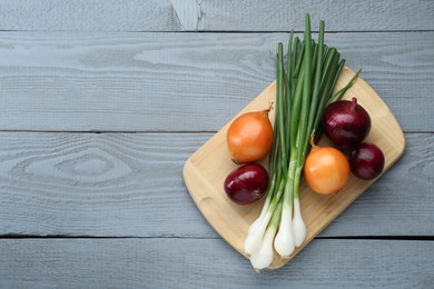 Board with different kinds of onions on grey wooden table, top view. Space for text