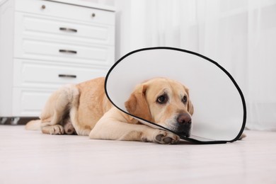 Photo of Sad Labrador Retriever with protective cone collar lying on floor in room