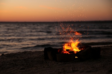 Photo of Beautiful bonfire with burning firewood on beach in evening. Space for text