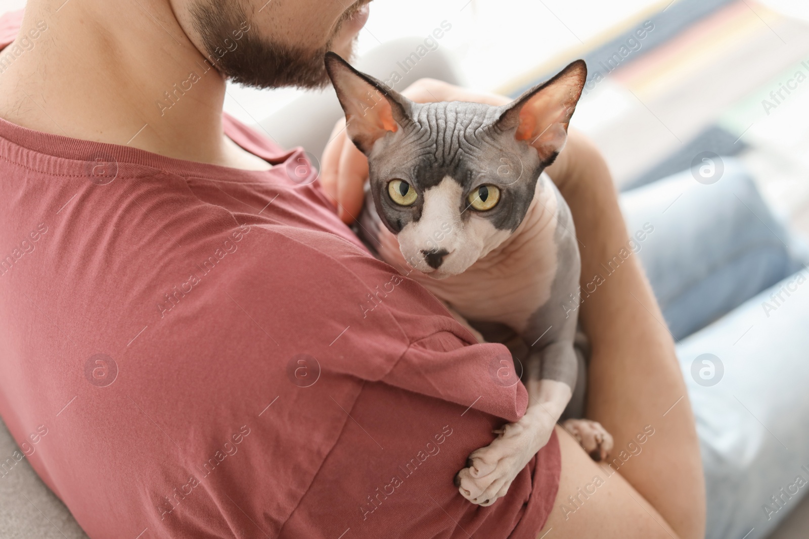 Photo of Young man with cute cat at home