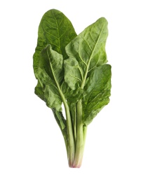 Fresh leaves of spinach isolated on white