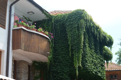 Photo of Exterior of beautiful residential buildings with balcony, hedge and flowers