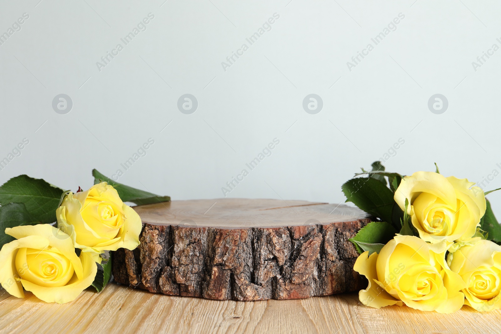 Photo of Beautiful presentation for product. Wooden stump and yellow roses on table against light grey background, space for text