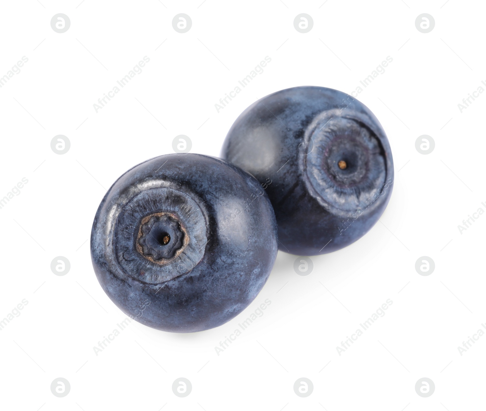 Photo of Delicious ripe bilberries isolated on white. Seasonal berries