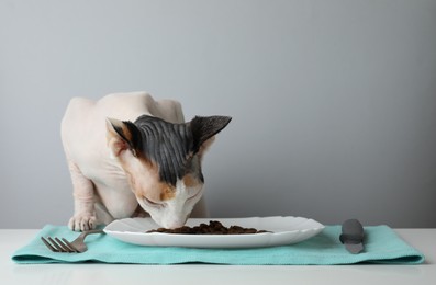 Photo of Beautiful Sphynx cat eating kibble on white table against grey background. Space for text