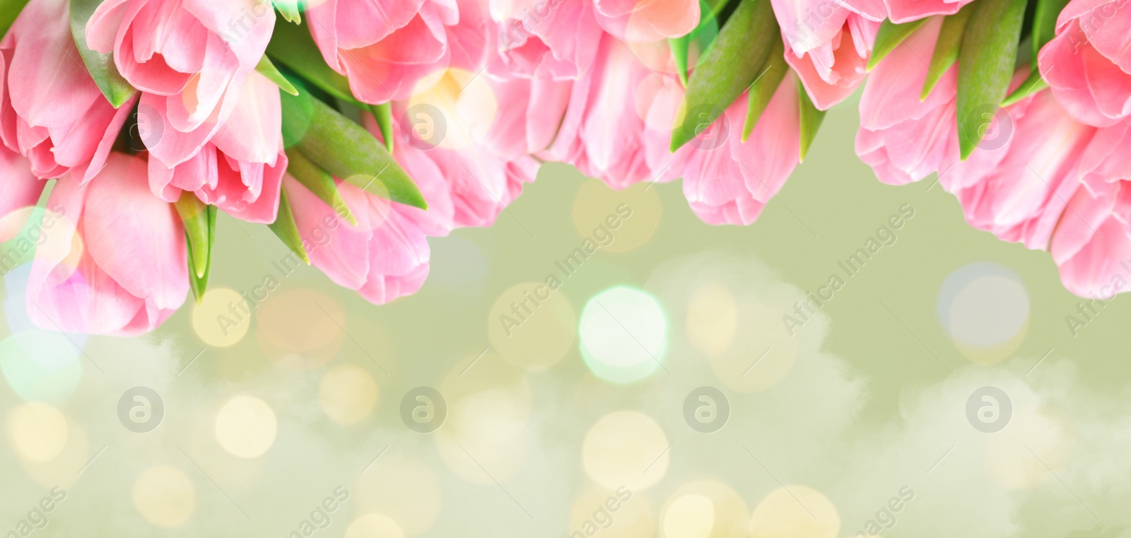 Image of Beautiful pink spring tulips on light background, space for text. Banner design