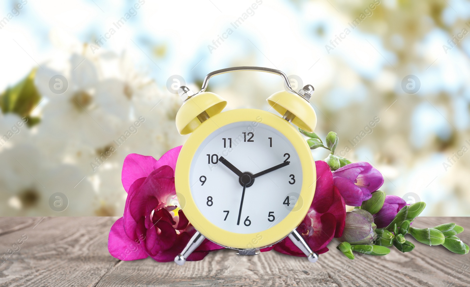 Image of Yellow alarm clock and flowers on table against blurred background. Spring time