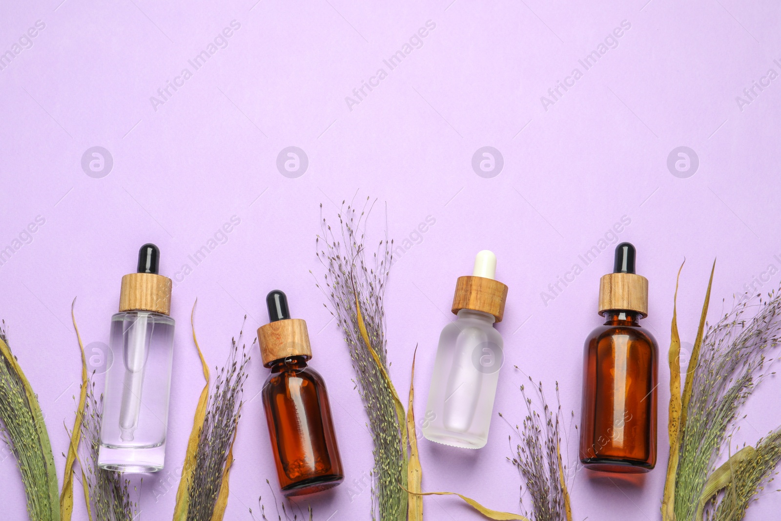 Photo of Flat lay composition with bottles of face serum and beautiful dried plants on violet background. Space for text