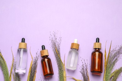 Photo of Flat lay composition with bottlesface serum and beautiful dried plants on violet background. Space for text