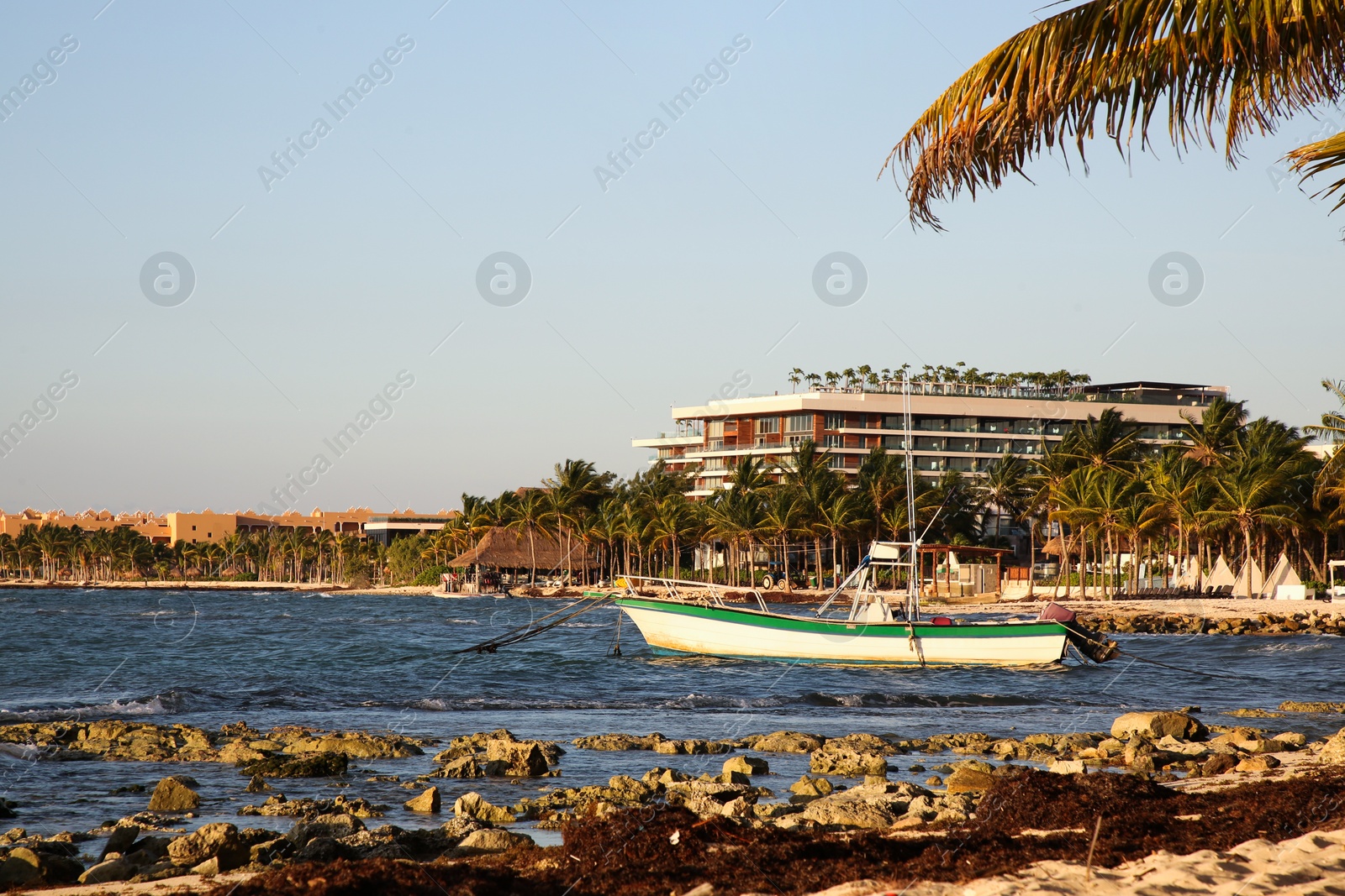 Photo of Picturesque view of sea coast, palm trees and distant resort on sunny day